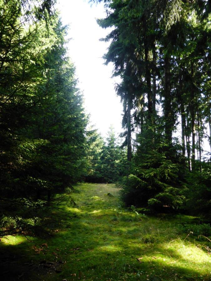 Zeulenroda-TriebesBerghof公寓 外观 照片